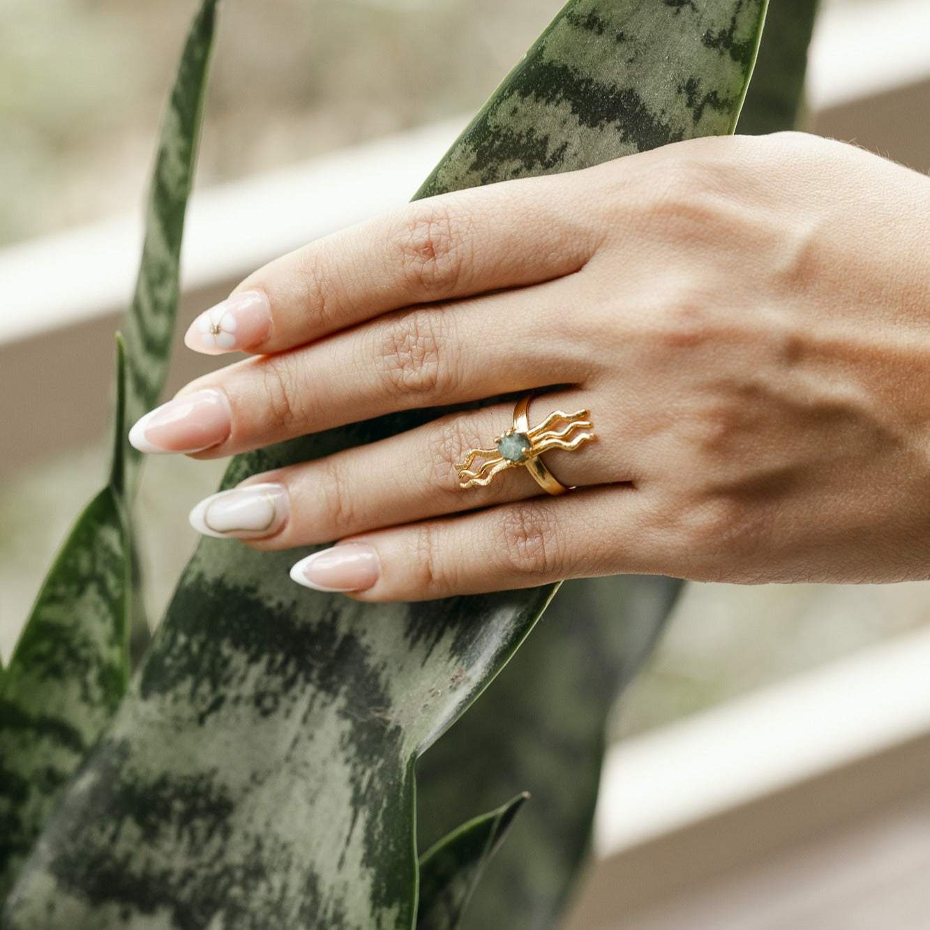 Anillo Evolución