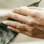 Anillo Evolución