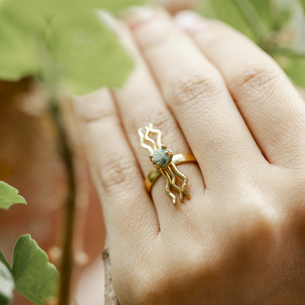 Anillo Evolución