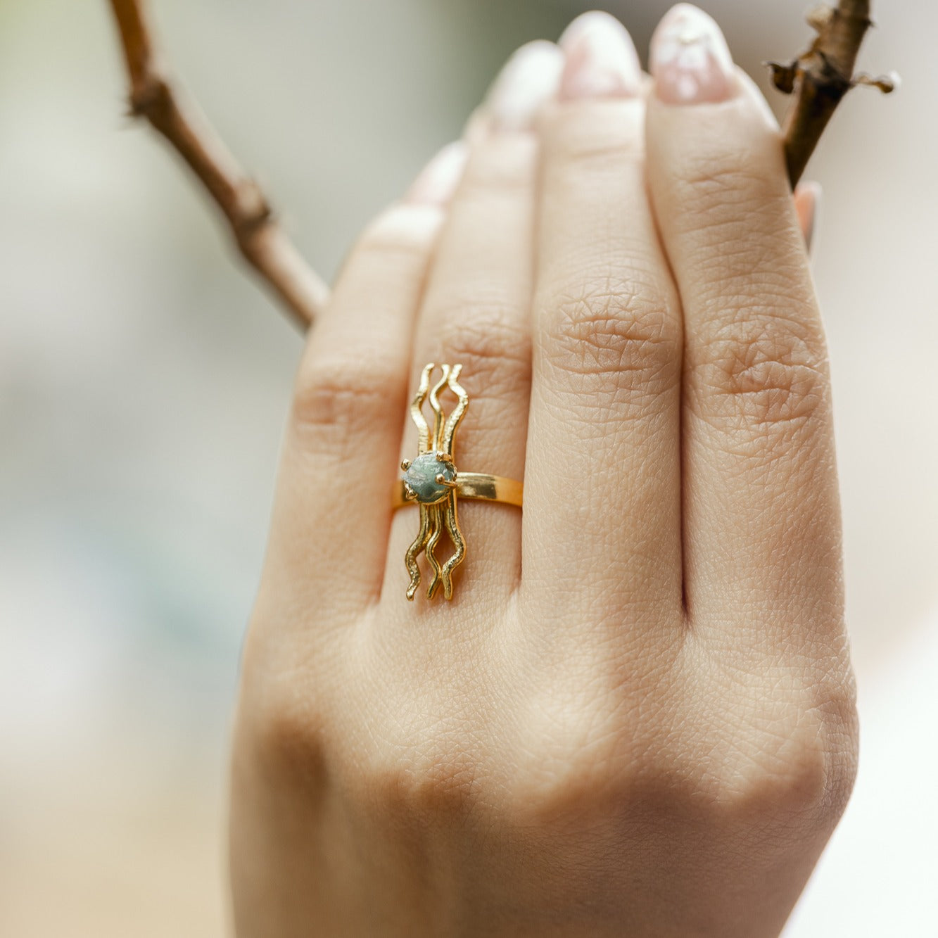 Anillo Evolución
