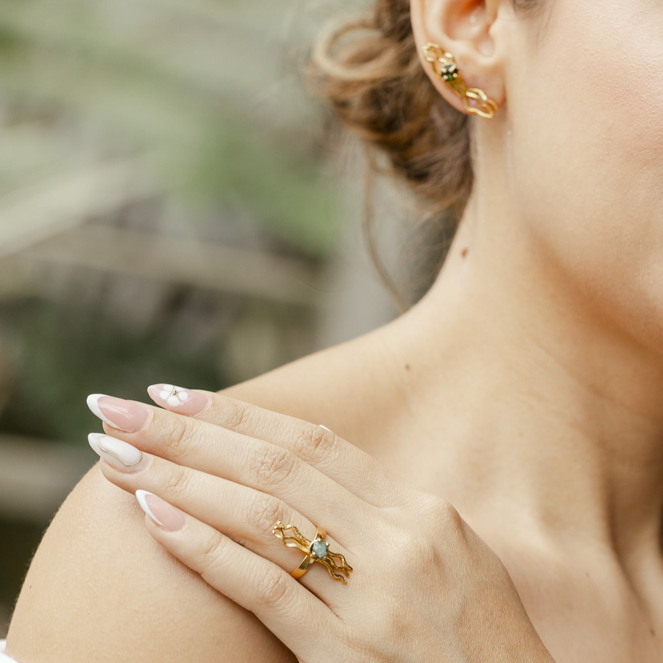 Anillo Evolución
