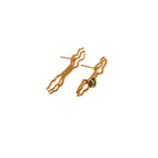 Aretes Evolución