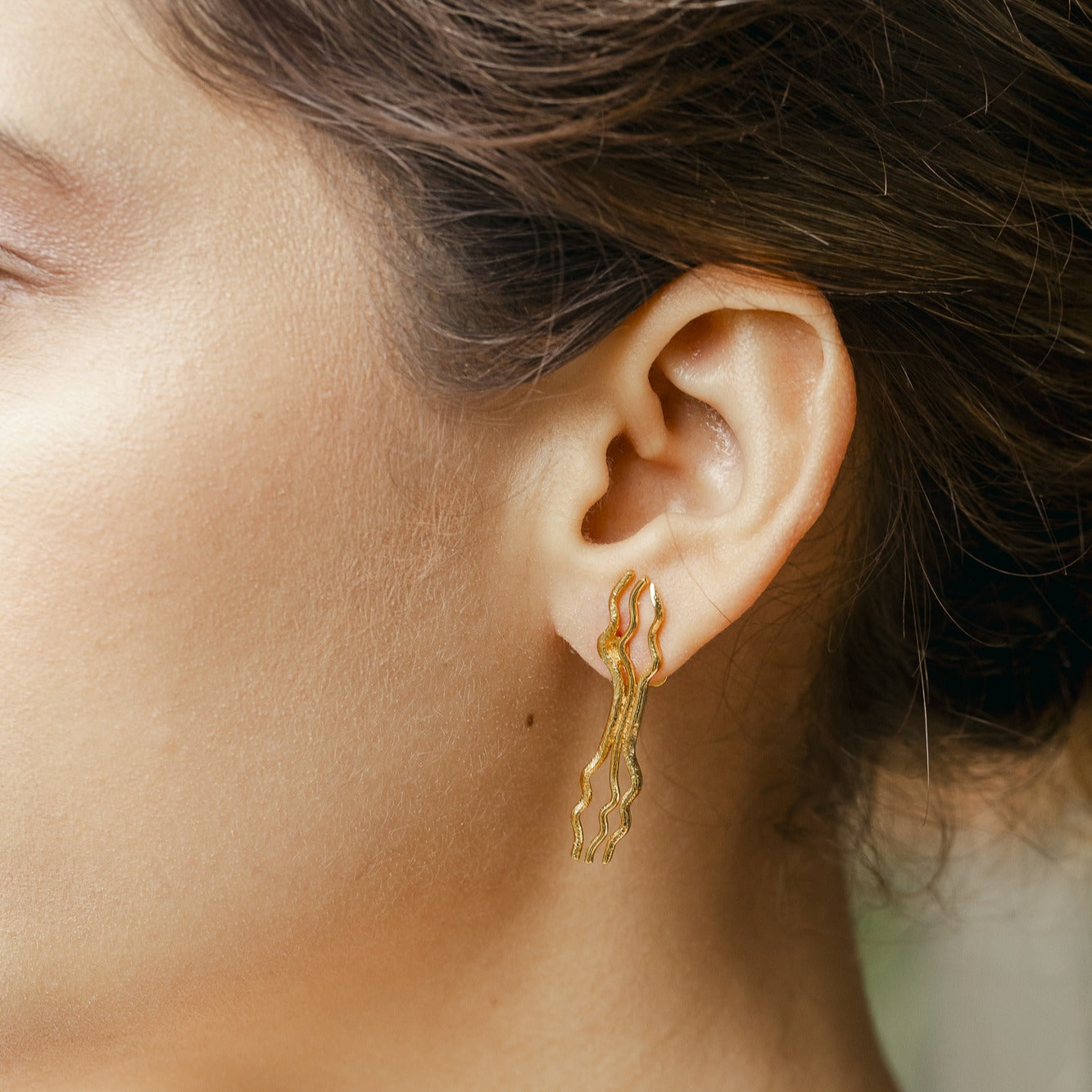 Aretes Evolución