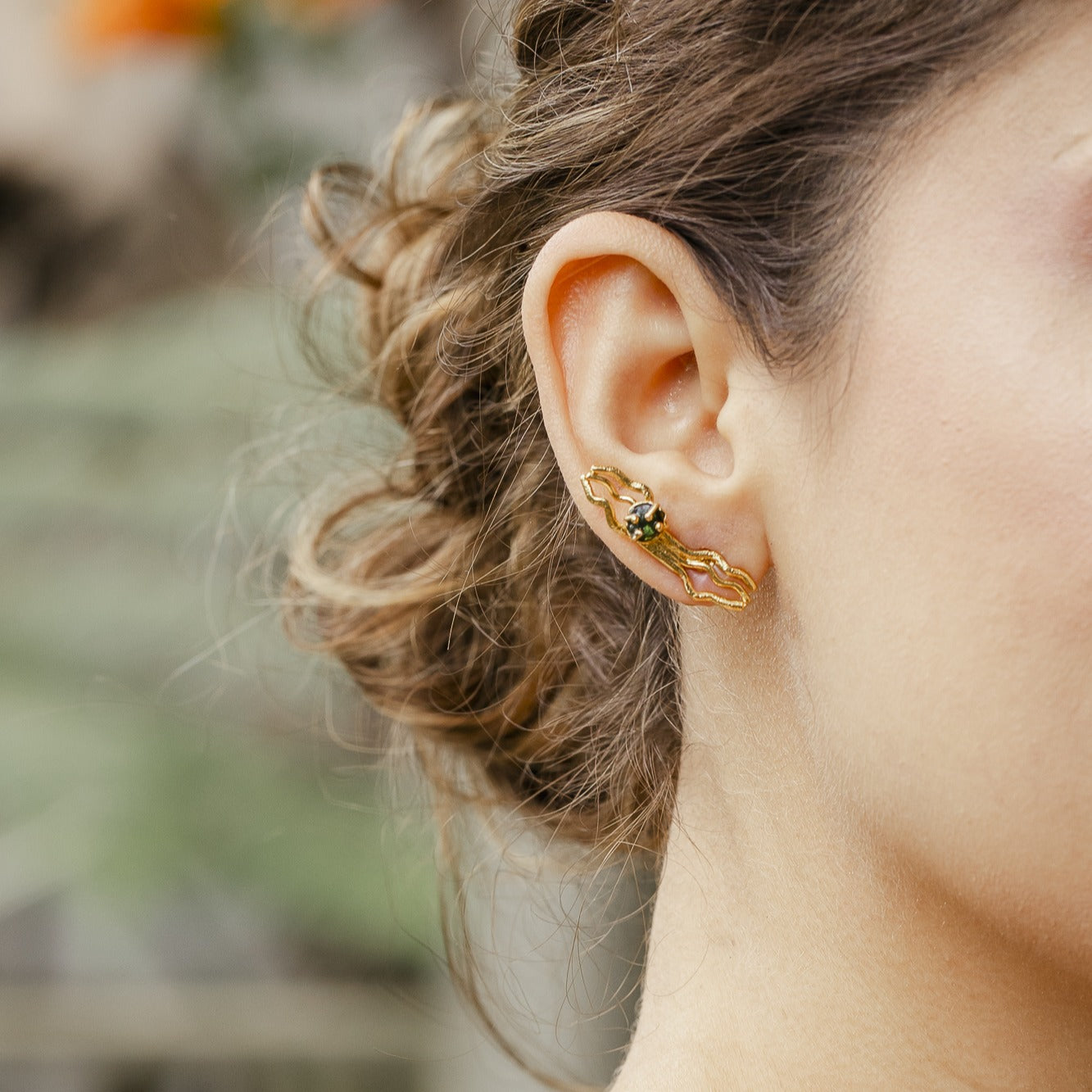 Aretes Evolución