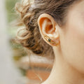 Aretes Evolución