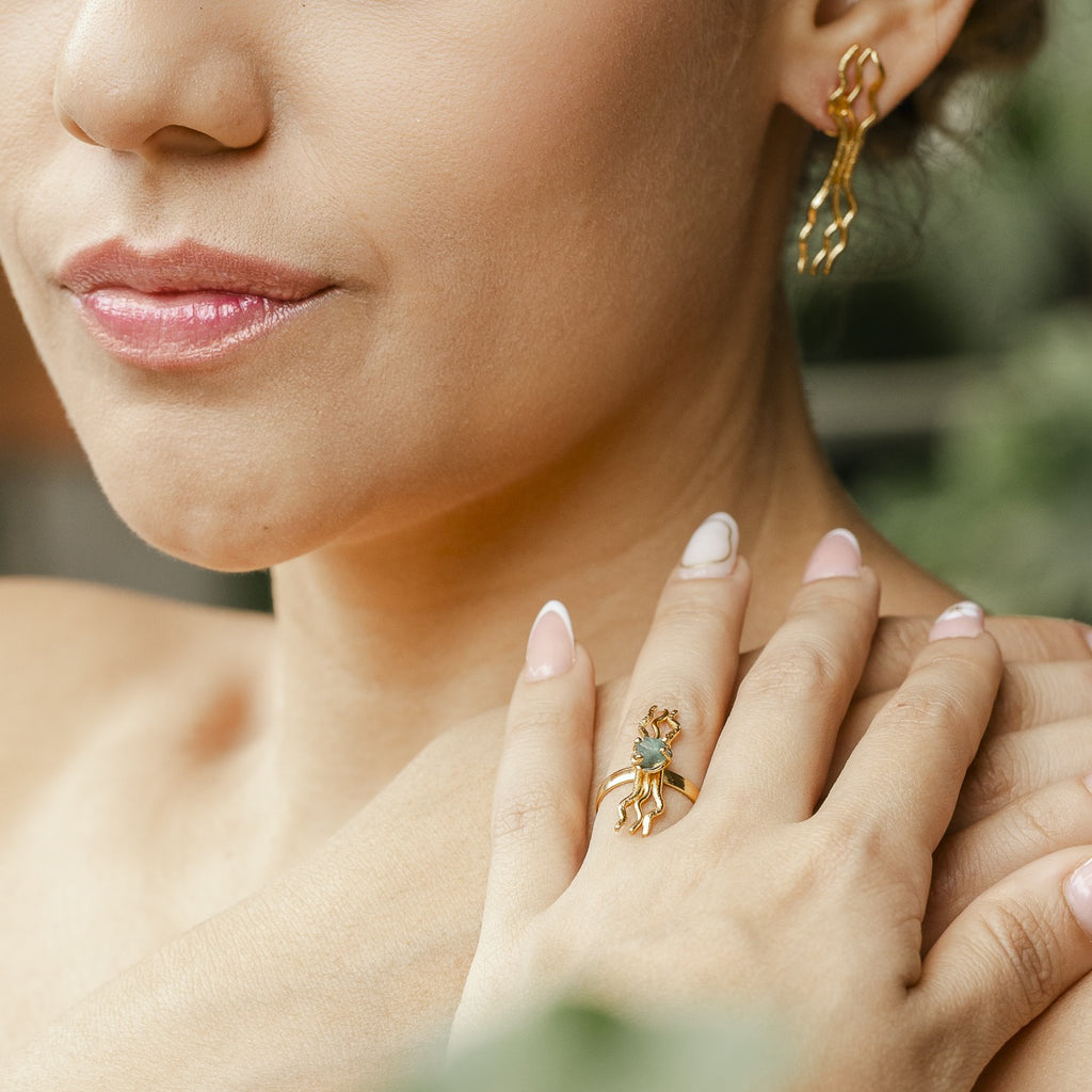 Aretes Evolución